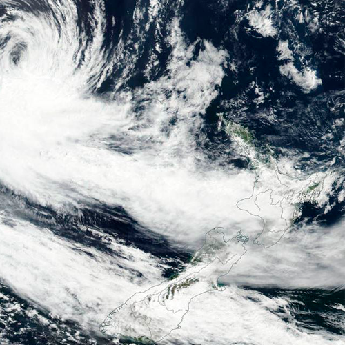 Banning forestry no cure for storm damage