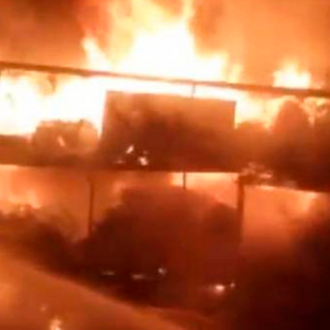 Blenheim Driver Averts Disaster