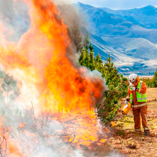 Fighting fire with fire