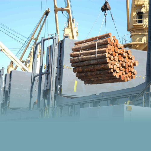 NZ log export boom continues